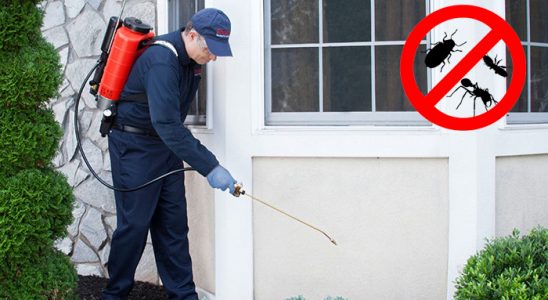 Bozdoğan Fare İlaçlama böcek ilaçlama ve haşere kontrolü — ilaclama-tr.com